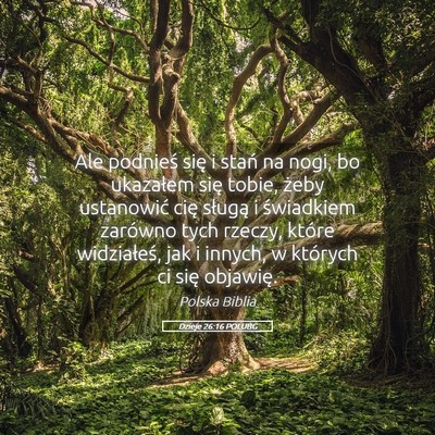 Picture 05 - Dzieje 26:16 POLUBG - Ale podnieś się i stań na nogi, bo ukazałem - Bible Verse Picture