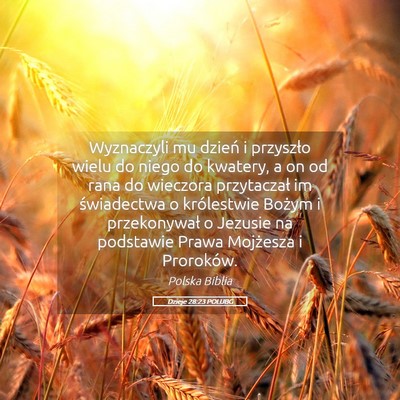 Picture 05 - Dzieje 28:23 POLUBG - Wyznaczyli mu dzień i przyszło wielu do niego - Bible Verse Picture