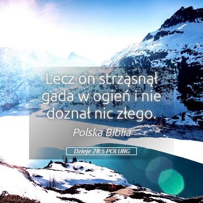 Picture 05 - Dzieje 28:5 POLUBG - Lecz on strząsnął gada w ogień i nie doznał - Bible Verse Picture