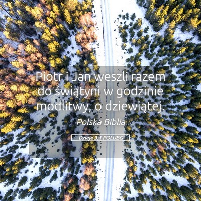 Picture 05 - Dzieje 3:1 POLUBG - Piotr i Jan weszli razem do świątyni w godzinie - Bible Verse Picture