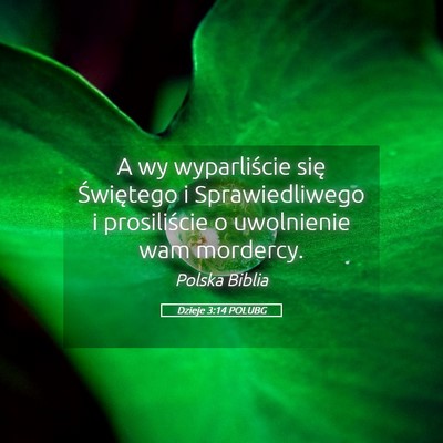 Picture 05 - Dzieje 3:14 POLUBG - A wy wyparliście się Świętego i - Bible Verse Picture