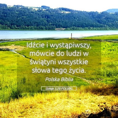 Picture 05 - Dzieje 5:20 POLUBG - Idźcie i wystąpiwszy, mówcie do ludzi w - Bible Verse Picture