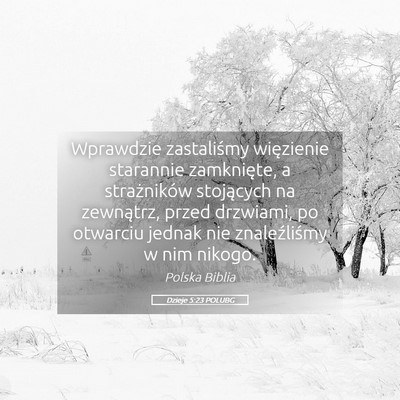 Picture 05 - Dzieje 5:23 POLUBG - Wprawdzie zastaliśmy więzienie starannie - Bible Verse Picture