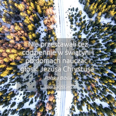 Picture 05 - Dzieje 5:42 POLUBG - Nie przestawali też codziennie w świątyni i po - Bible Verse Picture