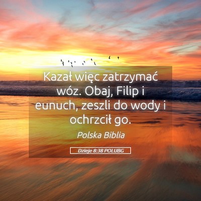 Picture 05 - Dzieje 8:38 POLUBG - Kazał więc zatrzymać wóz. Obaj, Filip i - Bible Verse Picture