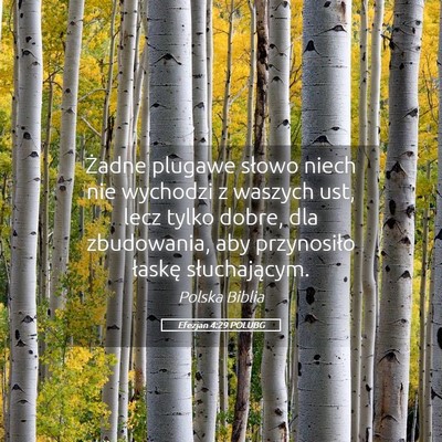 Picture 05 - Efezjan 4:29 POLUBG - Żadne plugawe słowo niech nie wychodzi z - Bible Verse Picture