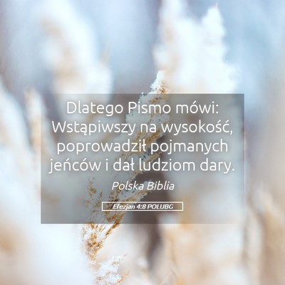 Picture 05 - Efezjan 4:8 POLUBG - Dlatego Pismo mówi: Wstąpiwszy na wysokość, - Bible Verse Picture