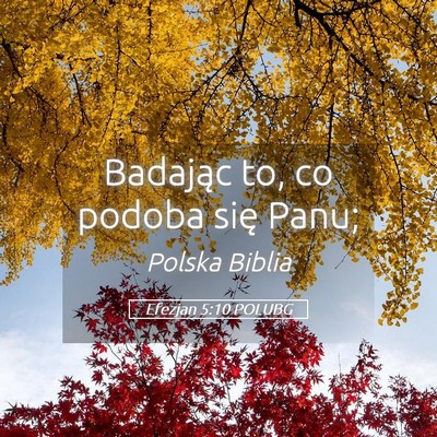 Picture 05 - Efezjan 5:10 POLUBG - Badając to, co podoba się - Bible Verse Picture
