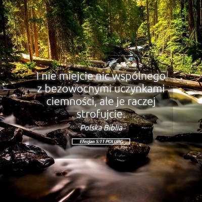 Picture 05 - Efezjan 5:11 POLUBG - I nie miejcie nic wspólnego z bezowocnymi - Bible Verse Picture