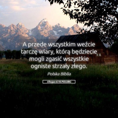 Picture 05 - Efezjan 6:16 POLUBG - A przede wszystkim weźcie tarczę wiary, którą - Bible Verse Picture