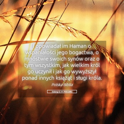 Picture 05 - Estery 5:11 POLUBG - I opowiadał im Haman o wspaniałości jego - Bible Verse Picture