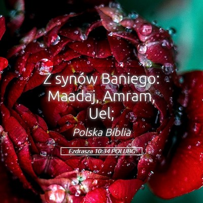 Picture 05 - Ezdrasza 10:34 POLUBG - Z synów Baniego: Maadaj, Amram, - Bible Verse Picture