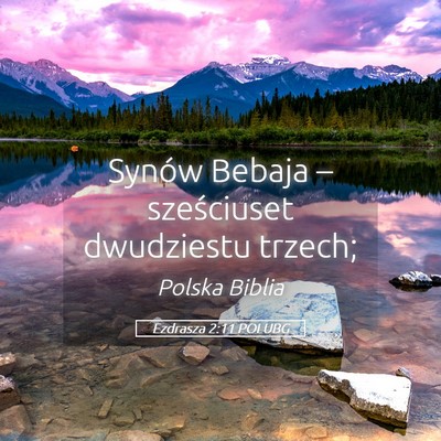 Picture 05 - Ezdrasza 2:11 POLUBG - Synów Bebaja – sześciuset dwudziestu - Bible Verse Picture