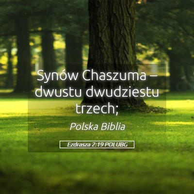 Picture 05 - Ezdrasza 2:19 POLUBG - Synów Chaszuma – dwustu dwudziestu - Bible Verse Picture