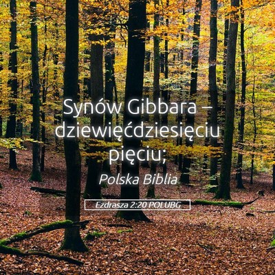 Picture 05 - Ezdrasza 2:20 POLUBG - Synów Gibbara – dziewięćdziesięciu - Bible Verse Picture