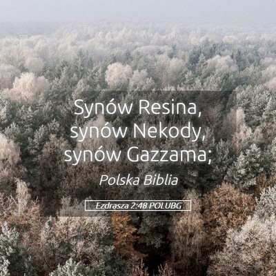 Picture 05 - Ezdrasza 2:48 POLUBG - Synów Resina, synów Nekody, synów - Bible Verse Picture