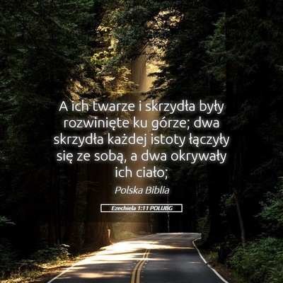 Picture 05 - Ezechiela 1:11 POLUBG - A ich twarze i skrzydła były rozwinięte ku - Bible Verse Picture