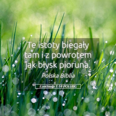 Picture 05 - Ezechiela 1:14 POLUBG - Te istoty biegały tam i z powrotem jak błysk - Bible Verse Picture
