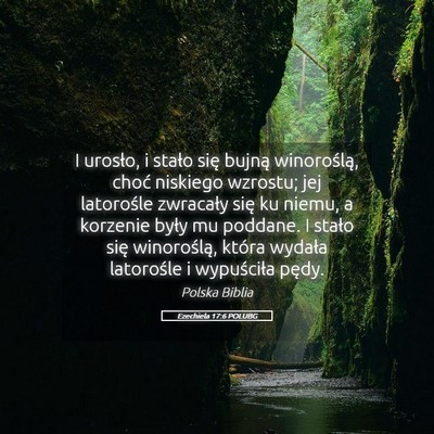 Picture 05 - Ezechiela 17:6 POLUBG - I urosło, i stało się bujną winoroślą, - Bible Verse Picture
