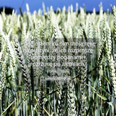 Picture 05 - Ezechiela 20:23 POLUBG - Podniosłem ku nim moją rękę na pustyni, że - Bible Verse Picture