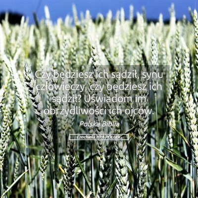 Picture 05 - Ezechiela 20:4 POLUBG - Czy będziesz ich sądził, synu człowieczy, czy - Bible Verse Picture