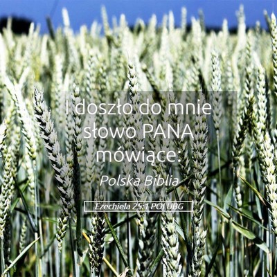 Picture 05 - Ezechiela 25:1 POLUBG - I doszło do mnie słowo PANA - Bible Verse Picture