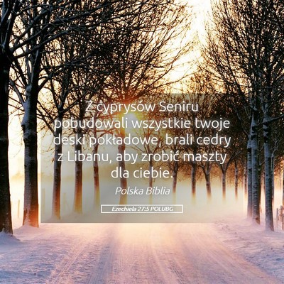 Picture 05 - Ezechiela 27:5 POLUBG - Z cyprysów Seniru pobudowali wszystkie twoje - Bible Verse Picture