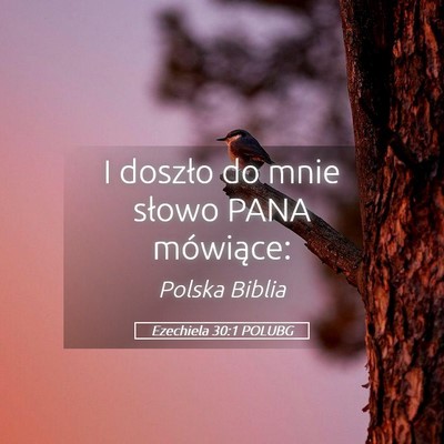 Picture 05 - Ezechiela 30:1 POLUBG - I doszło do mnie słowo PANA - Bible Verse Picture