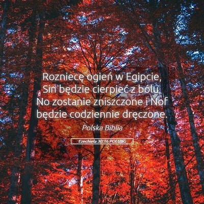 Picture 05 - Ezechiela 30:16 POLUBG - Rozniecę ogień w Egipcie, Sin będzie cierpieć - Bible Verse Picture