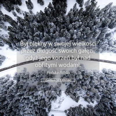 Picture 05 - Ezechiela 31:7 POLUBG - Był piękny w swojej wielkości przez długość - Bible Verse Picture