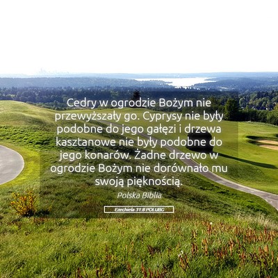 Picture 05 - Ezechiela 31:8 POLUBG - Cedry w ogrodzie Bożym nie przewyższały go. - Bible Verse Picture