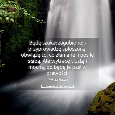 Picture 05 - Ezechiela 34:16 POLUBG - Będę szukał zagubionej i przyprowadzę - Bible Verse Picture