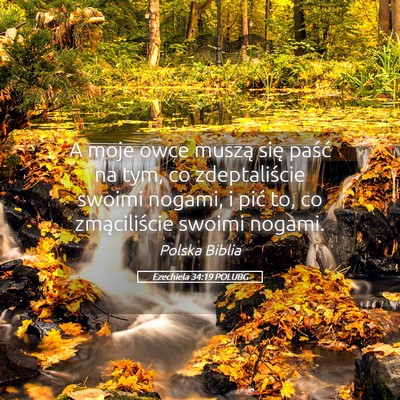 Picture 05 - Ezechiela 34:19 POLUBG - A moje owce muszą się paść na tym, co - Bible Verse Picture
