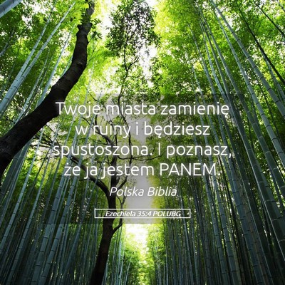 Picture 05 - Ezechiela 35:4 POLUBG - Twoje miasta zamienię w ruiny i będziesz - Bible Verse Picture