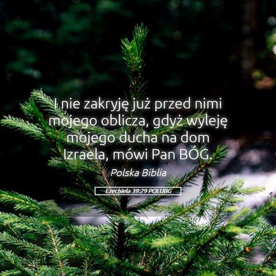 Picture 05 - Ezechiela 39:29 POLUBG - I nie zakryję już przed nimi mojego oblicza, - Bible Verse Picture