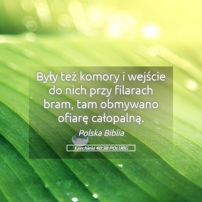 Picture 05 - Ezechiela 40:38 POLUBG - Były też komory i wejście do nich przy - Bible Verse Picture