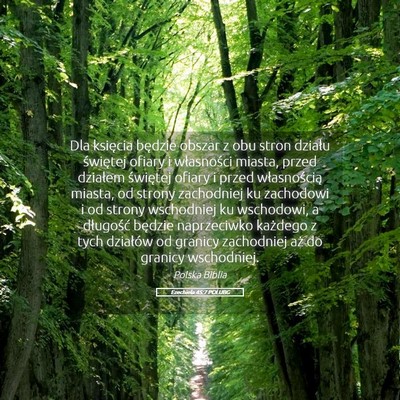 Picture 05 - Ezechiela 45:7 POLUBG - Dla księcia będzie obszar z obu stron działu - Bible Verse Picture