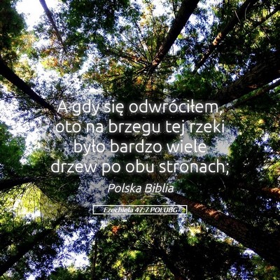 Picture 05 - Ezechiela 47:7 POLUBG - A gdy się odwróciłem, oto na brzegu tej rzeki - Bible Verse Picture