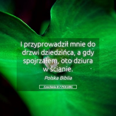 Picture 05 - Ezechiela 8:7 POLUBG - I przyprowadził mnie do drzwi dziedzińca, a gdy - Bible Verse Picture