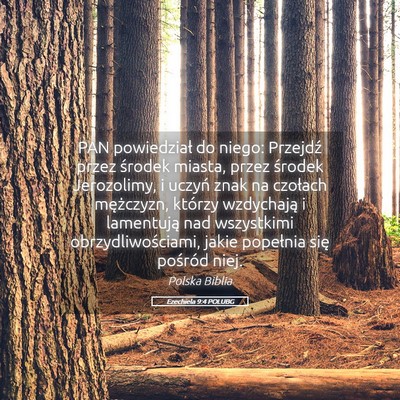 Picture 05 - Ezechiela 9:4 POLUBG - PAN powiedział do niego: Przejdź przez środek - Bible Verse Picture