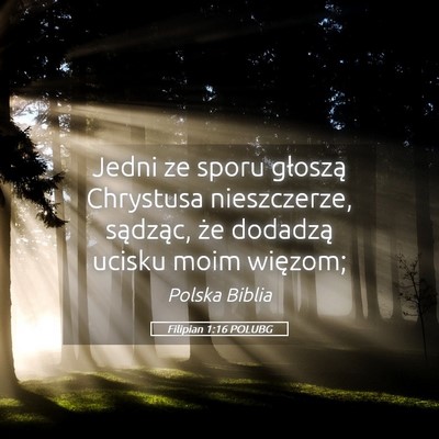 Picture 05 - Filipian 1:16 POLUBG - Jedni ze sporu głoszą Chrystusa nieszczerze, - Bible Verse Picture