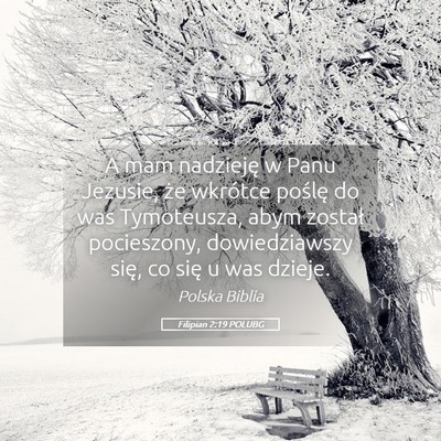Picture 05 - Filipian 2:19 POLUBG - A mam nadzieję w Panu Jezusie, że wkrótce - Bible Verse Picture