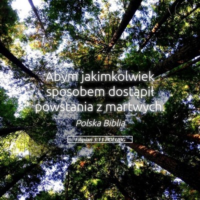 Picture 05 - Filipian 3:11 POLUBG - Abym jakimkolwiek sposobem dostąpił powstania z - Bible Verse Picture