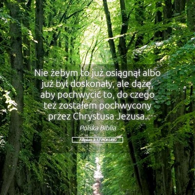 Picture 05 - Filipian 3:12 POLUBG - Nie żebym to już osiągnął albo już był - Bible Verse Picture