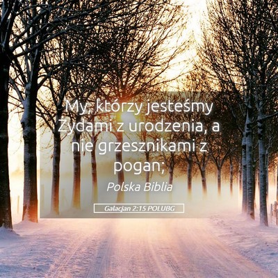 Picture 05 - Galacjan 2:15 POLUBG - My, którzy jesteśmy Żydami z urodzenia, a nie - Bible Verse Picture