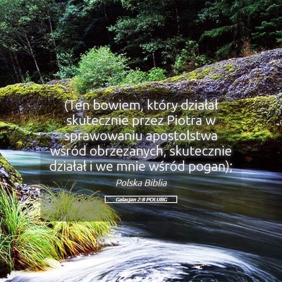 Picture 05 - Galacjan 2:8 POLUBG - (Ten bowiem, który działał skutecznie przez - Bible Verse Picture