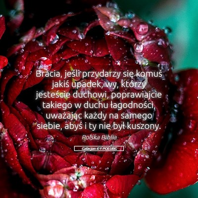 Picture 05 - Galacjan 6:1 POLUBG - Bracia, jeśli przydarzy się komuś jakiś - Bible Verse Picture