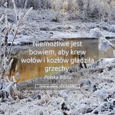 Picture 05 - Hebrajczyków 10:4 POLUBG - Niemożliwe jest bowiem, aby krew wołów i - Bible Verse Picture