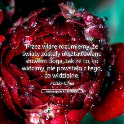 Picture 05 - Hebrajczyków 11:3 POLUBG - Przez wiarę rozumiemy, że światy zostały - Bible Verse Picture