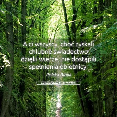 Picture 05 - Hebrajczyków 11:39 POLUBG - A ci wszyscy, choć zyskali chlubne świadectwo - Bible Verse Picture